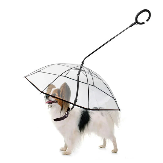 Dog Umbrella,SAVE YOUR DOG FROM THE RAIN