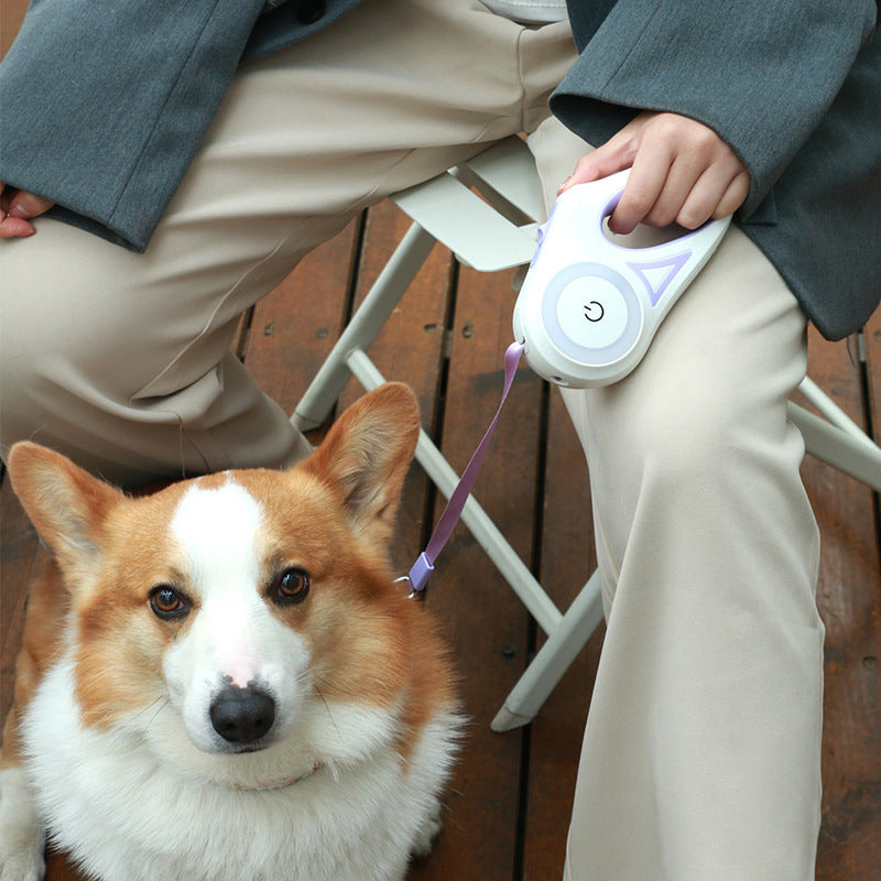 Retractable Dog Leash & Collar Set - Automatic Traction Rope for Small to Medium Dogs and Cats