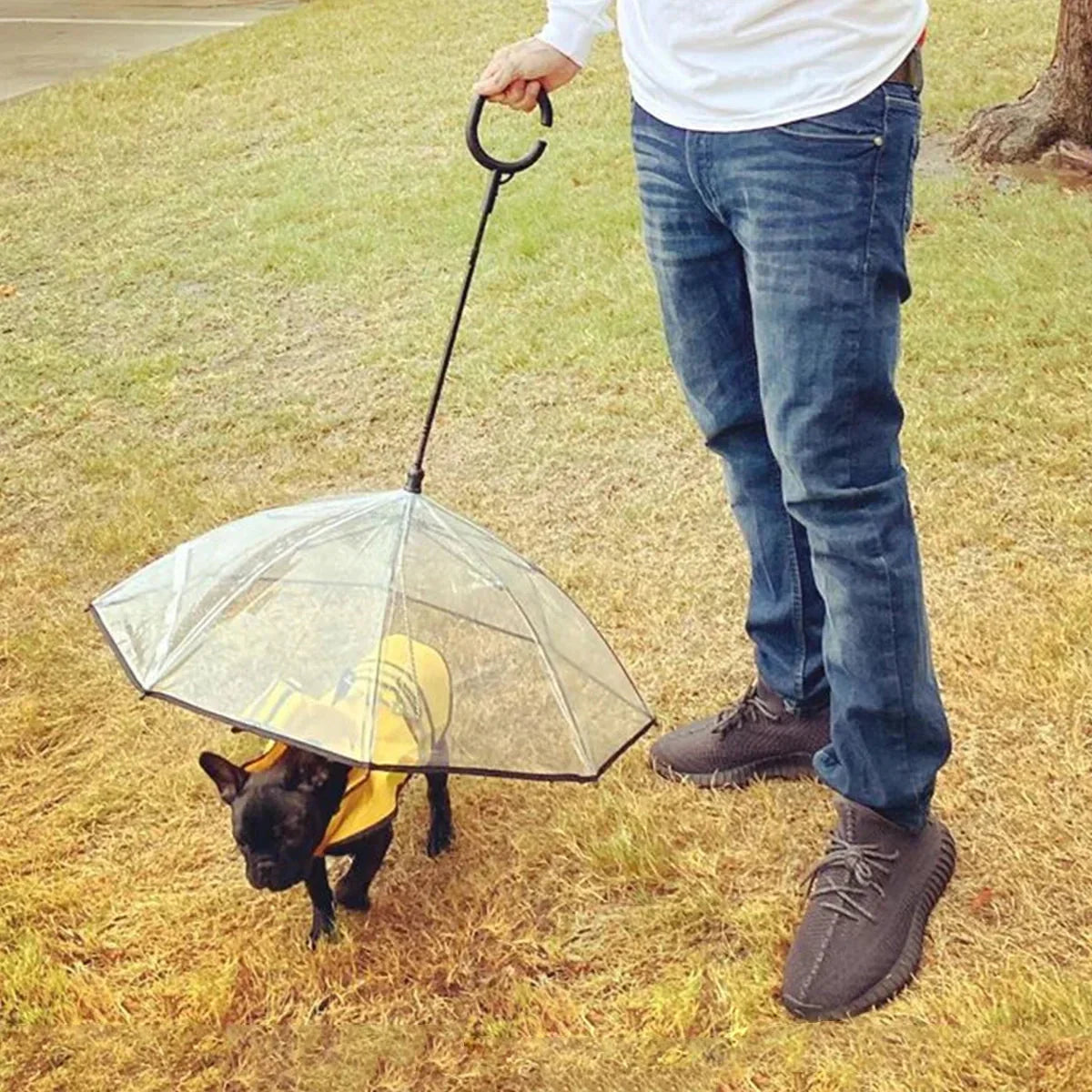Dog Umbrella,SAVE YOUR DOG FROM THE RAIN