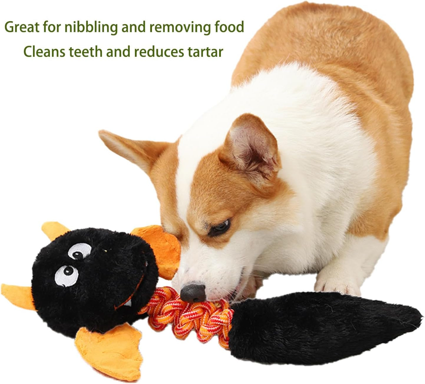 Eco-Friendly Plush Squeaky Dog and Cat Toys for All Sizes – Perfect for Playtime Fun!